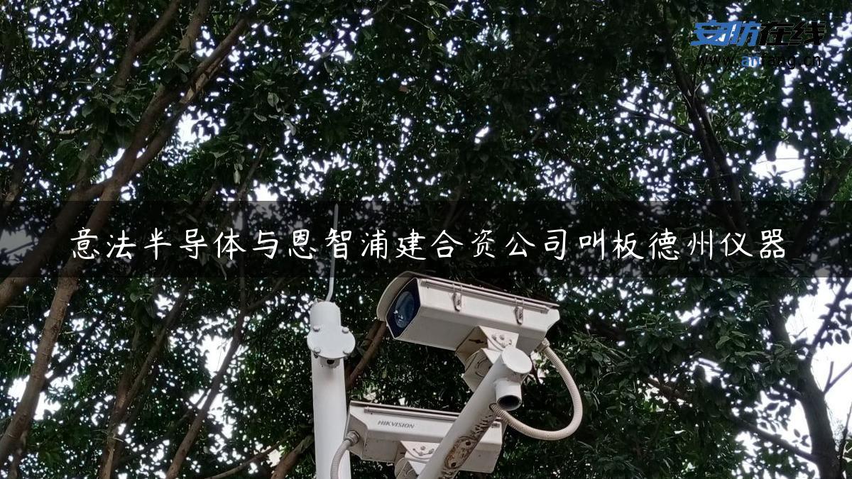 意法半导体与恩智浦建合资公司叫板德州仪器