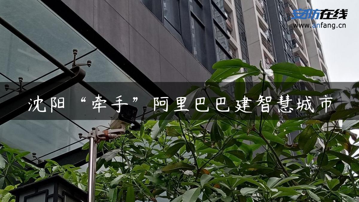 沈阳“牵手”阿里巴巴建智慧城市