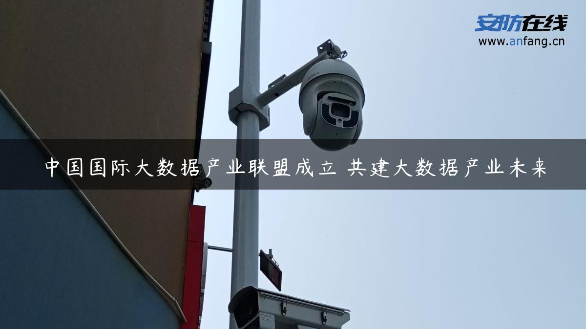 中国国际大数据产业联盟成立 共建大数据产业未来