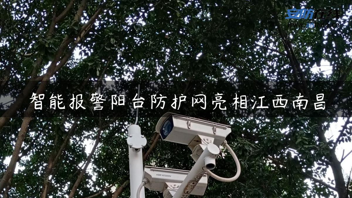 智能报警阳台防护网亮相江西南昌