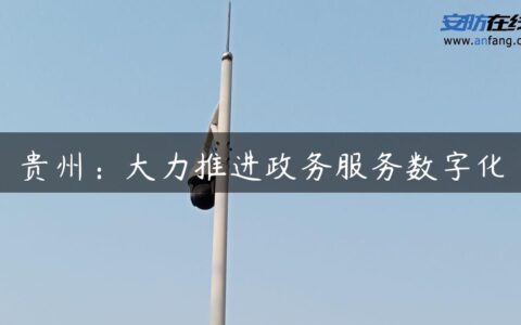 贵州：大力推进政务服务数字化