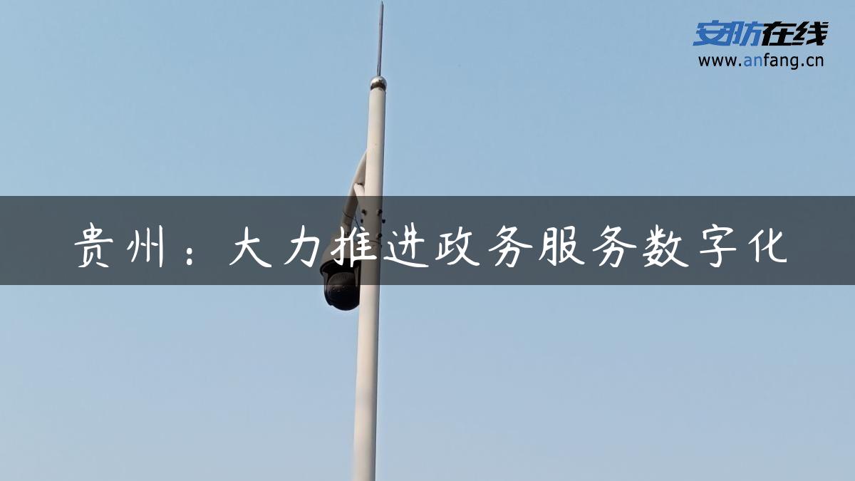 贵州：大力推进政务服务数字化