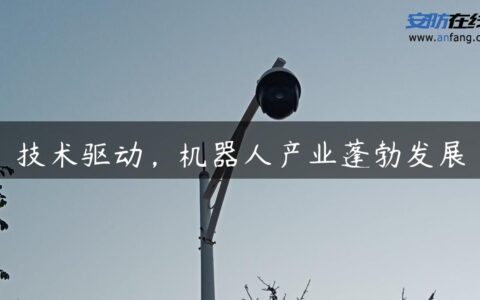 技术驱动，机器人产业蓬勃发展