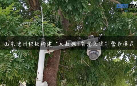 山东德州积极构建“大数据+智慧交通”警务模式