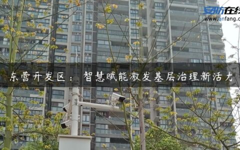 东营开发区： 智慧赋能激发基层治理新活力