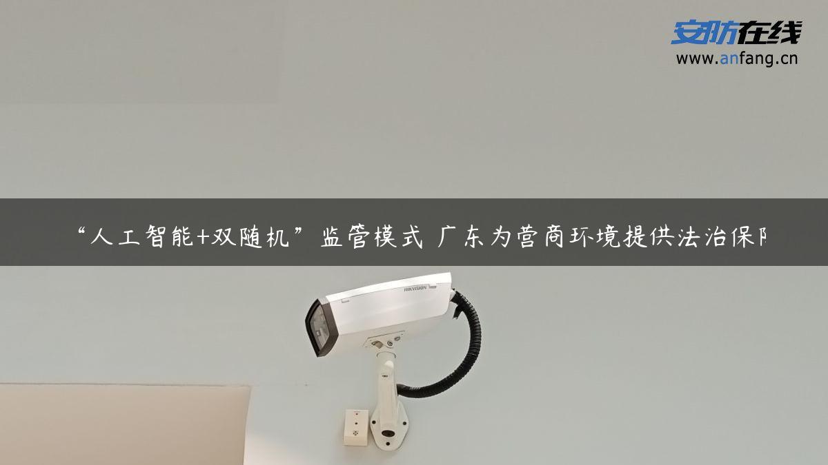 “人工智能+双随机”监管模式 广东为营商环境提供法治保障