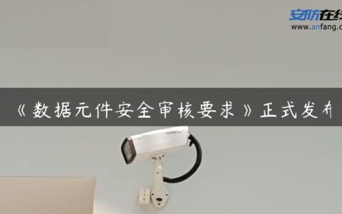 《数据元件安全审核要求》正式发布