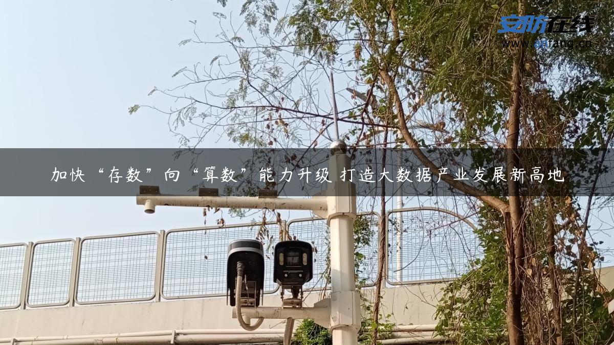 加快“存数”向“算数”能力升级 打造大数据产业发展新高地