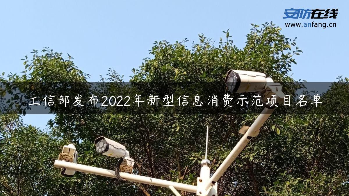 工信部发布2022年新型信息消费示范项目名单