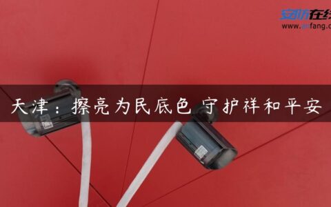 天津：擦亮为民底色 守护祥和平安