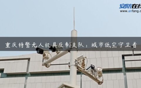 重庆特警无人机具反制支队：城市低空守卫者