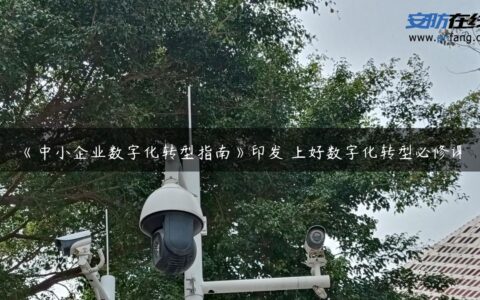 《中小企业数字化转型指南》印发 上好数字化转型必修课