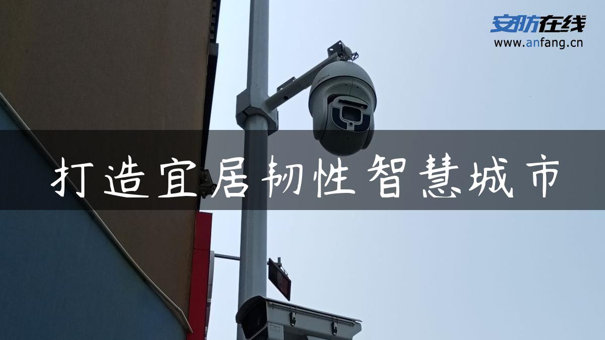 打造宜居韧性智慧城市