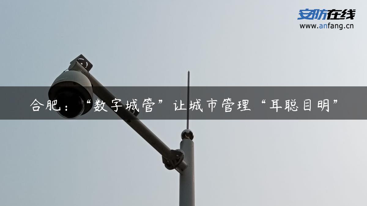 合肥：“数字城管”让城市管理“耳聪目明”