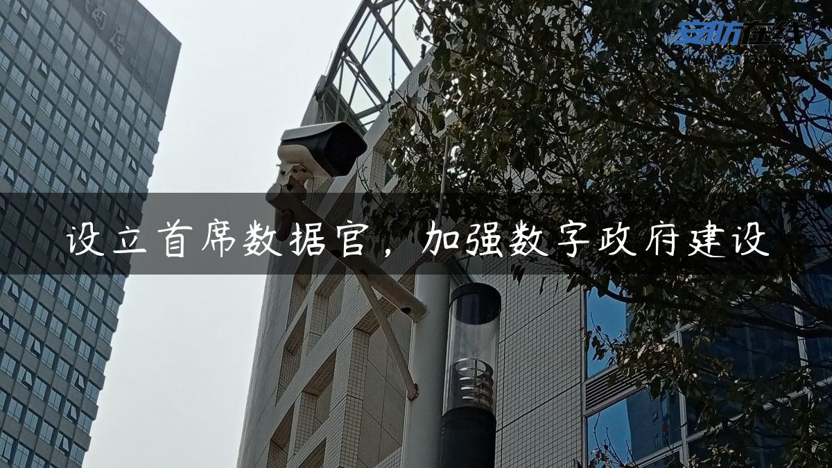 设立首席数据官，加强数字政府建设