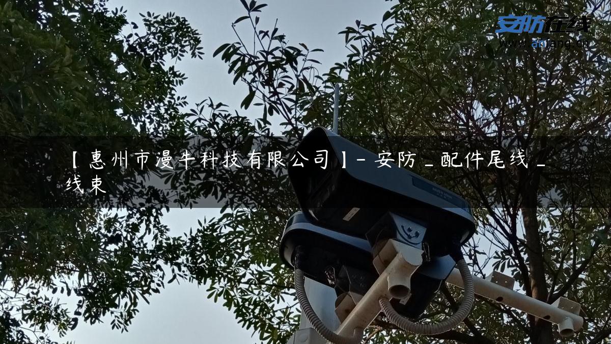 【惠州市漫牛科技有限公司】- 安防_配件尾线_线束