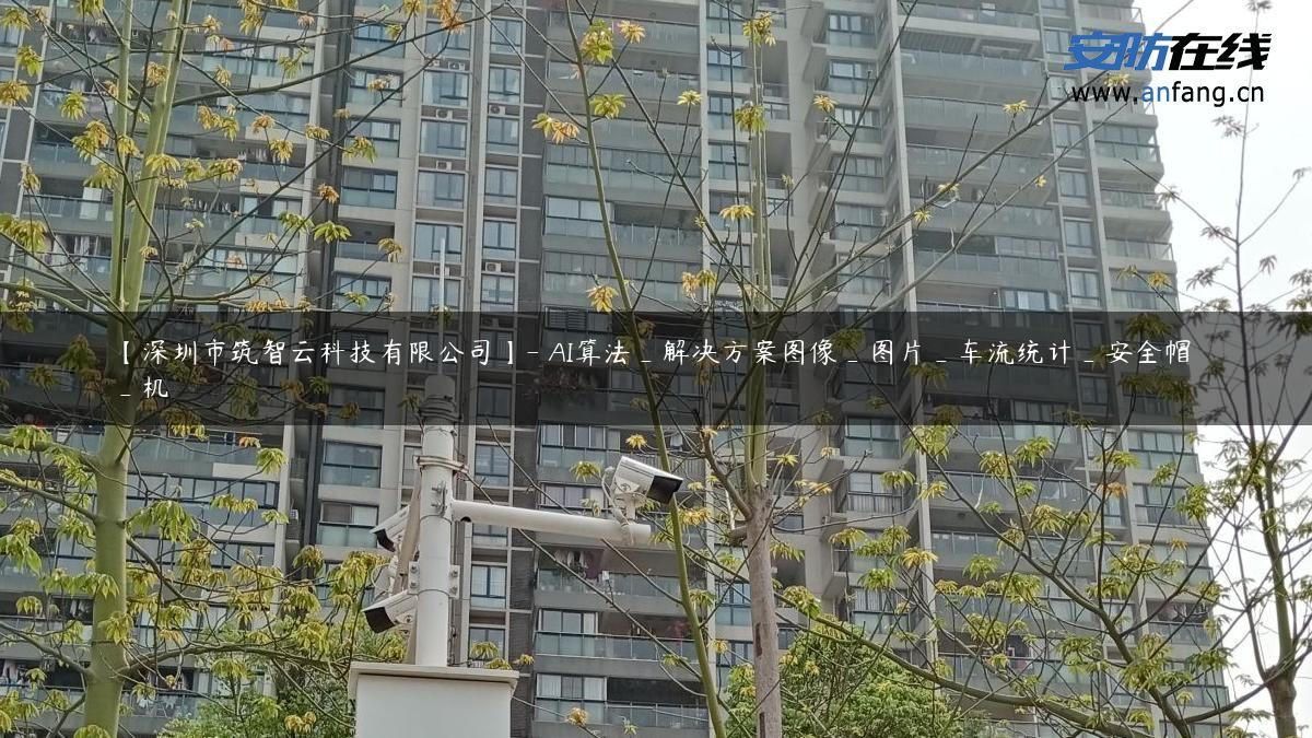 【深圳市筑智云科技有限公司】- AI算法_解决方案图像_图片_车流统计_安全帽_机