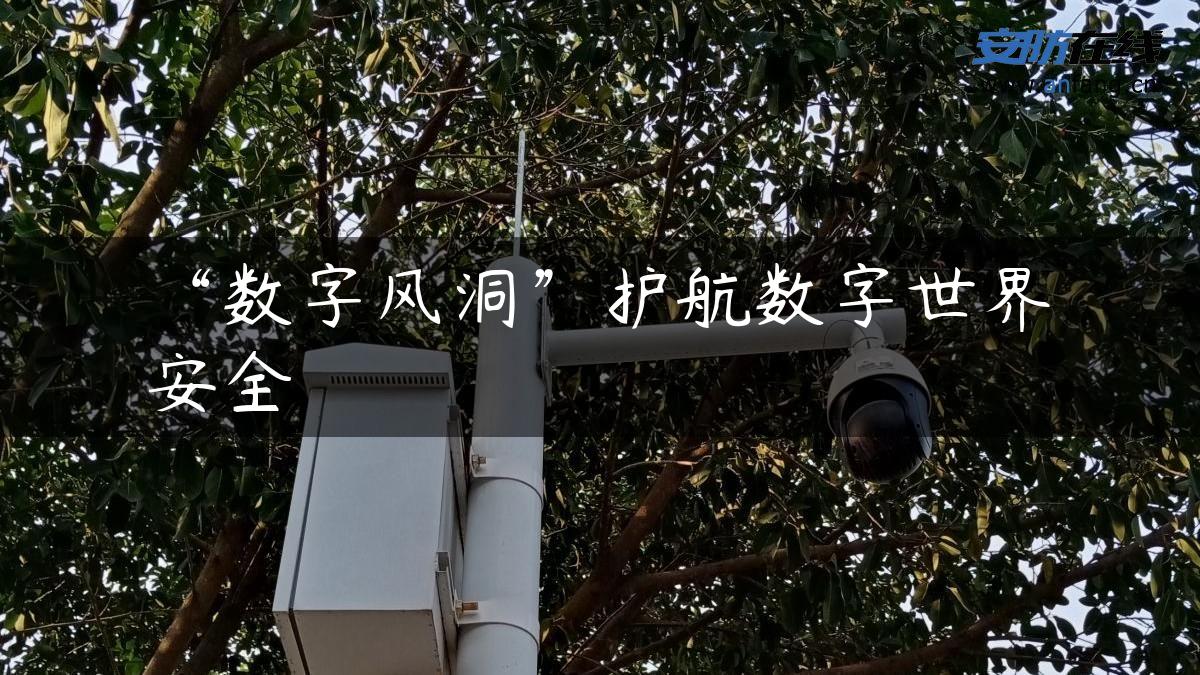 “数字风洞”护航数字世界安全