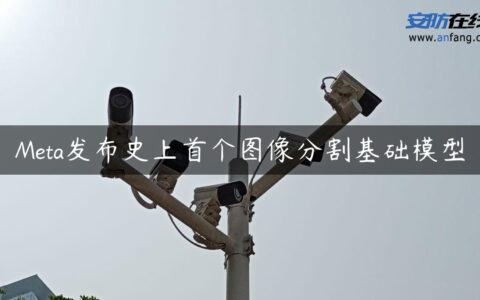 Meta发布史上首个图像分割基础模型