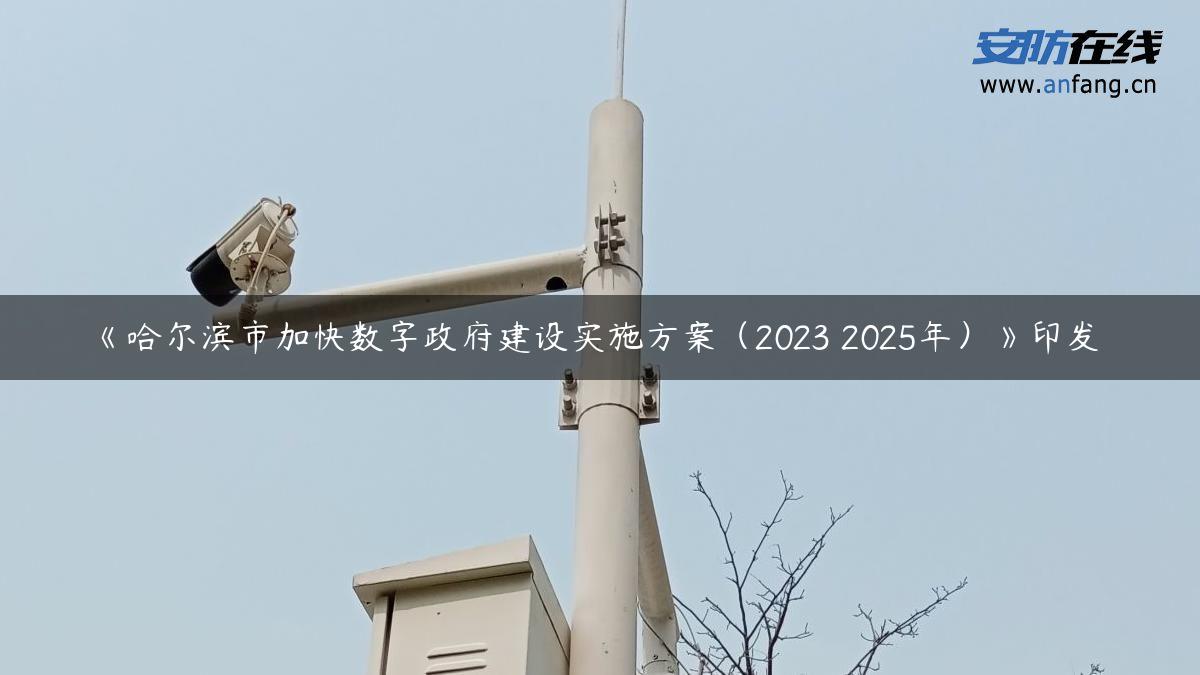 《哈尔滨市加快数字政府建设实施方案（2023―2025年）》印发