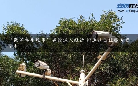 “数字孪生城市”建设深入推进 街道社区让服务更便利