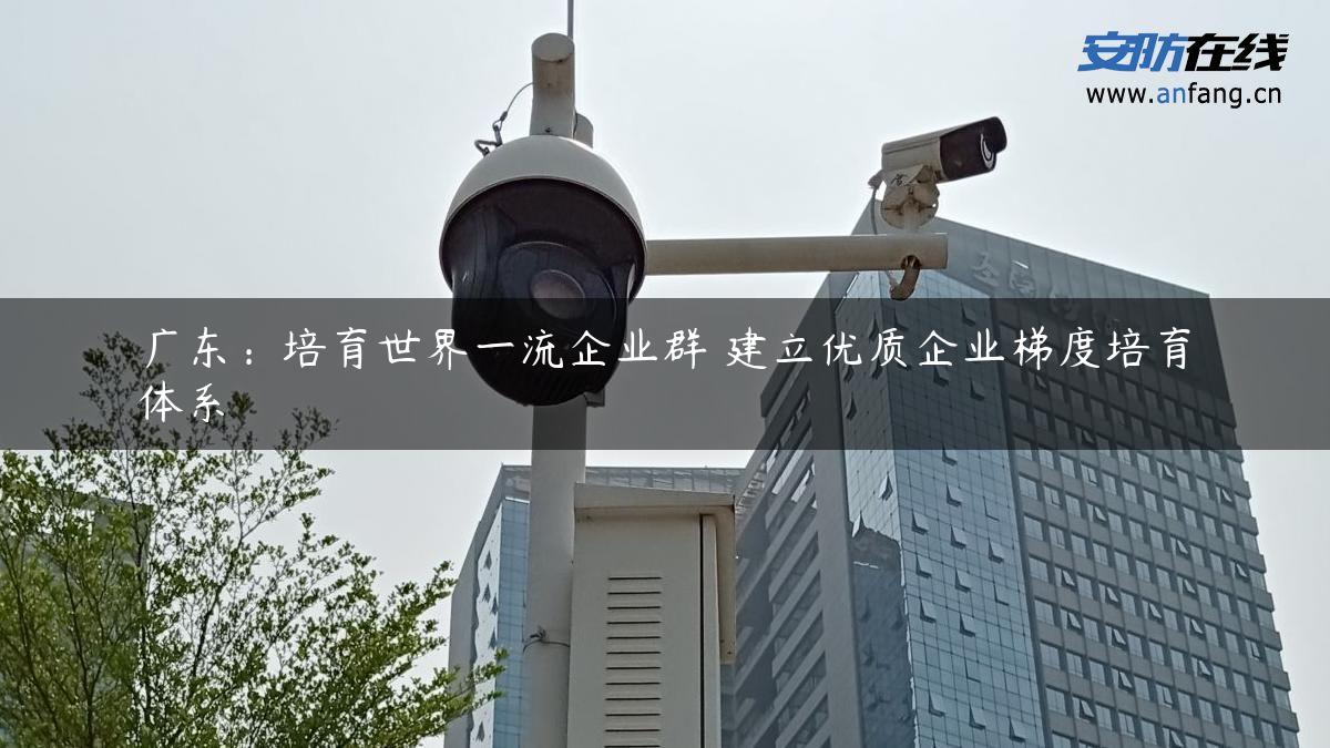 广东：培育世界一流企业群 建立优质企业梯度培育体系