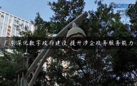 广东深化数字政府建设 提升涉企政务服务能力