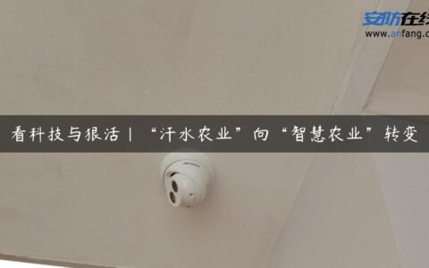 看科技与狠活｜“汗水农业”向“智慧农业”转变