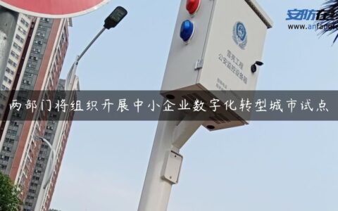 两部门将组织开展中小企业数字化转型城市试点