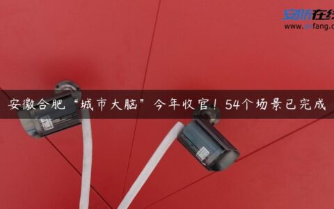 安徽合肥“城市大脑”今年收官！54个场景已完成