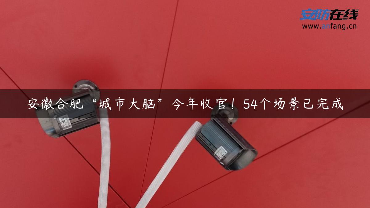 安徽合肥“城市大脑”今年收官！54个场景已完成