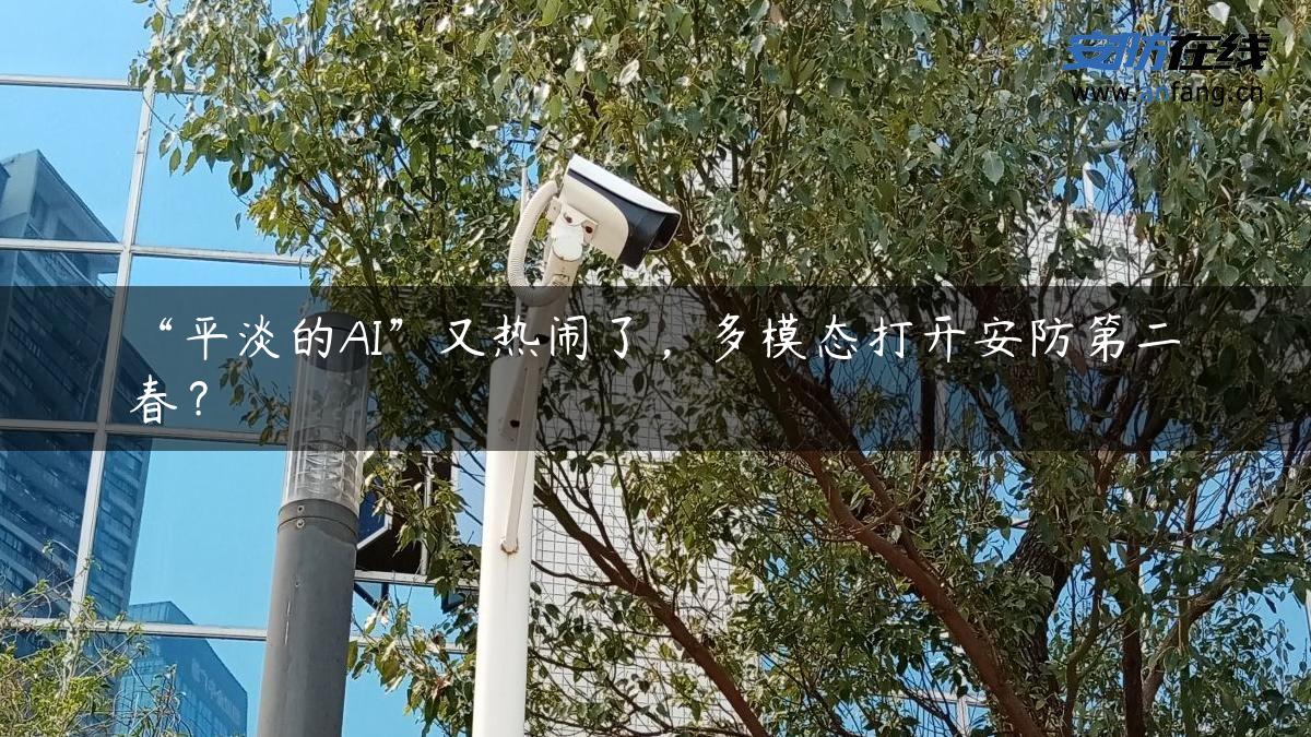 “平淡的AI”又热闹了，多模态打开安防第二春？