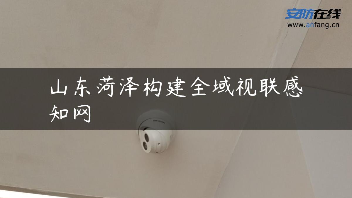 山东菏泽构建全域视联感知网