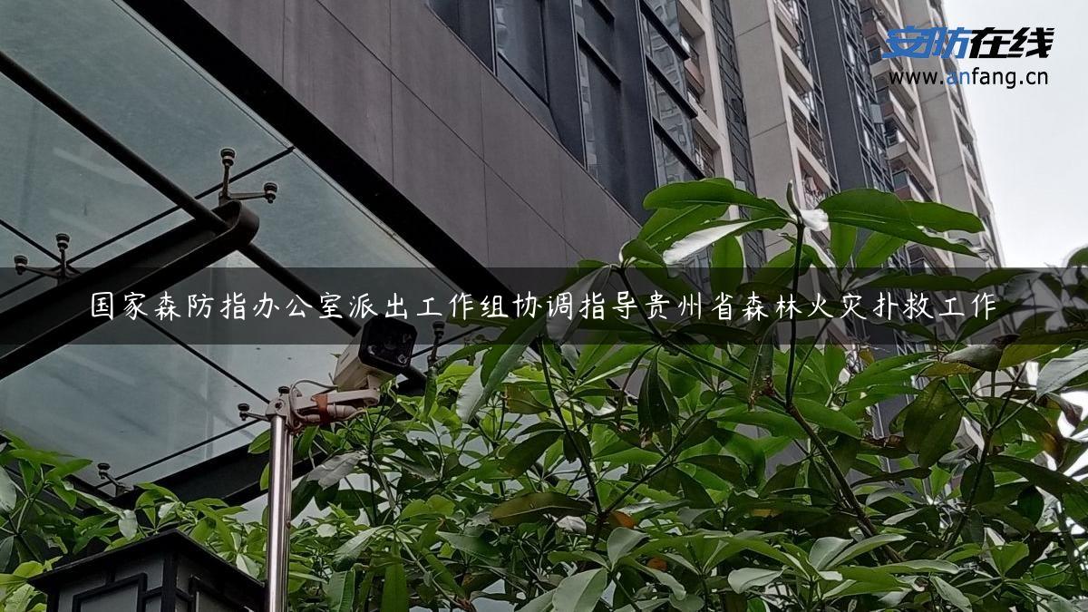 国家森防指办公室派出工作组协调指导贵州省森林火灾扑救工作