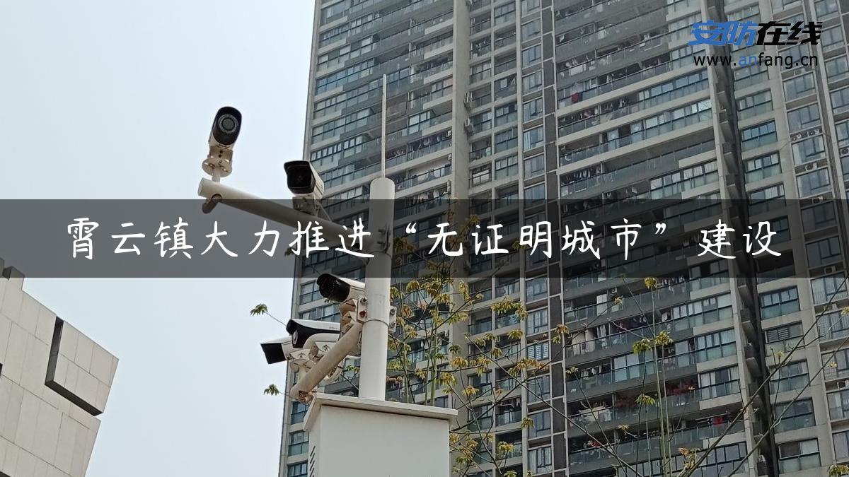 霄云镇大力推进“无证明城市”建设