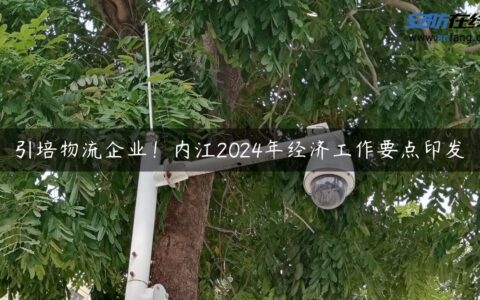 引培物流企业！内江2024年经济工作要点印发