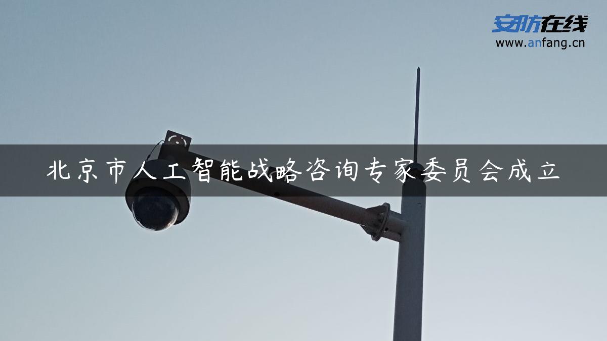 北京市人工智能战略咨询专家委员会成立