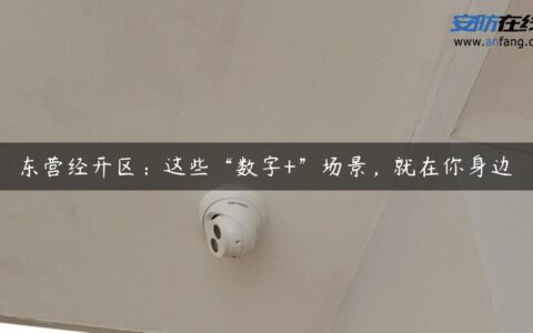 东营经开区：这些“数字+”场景，就在你身边