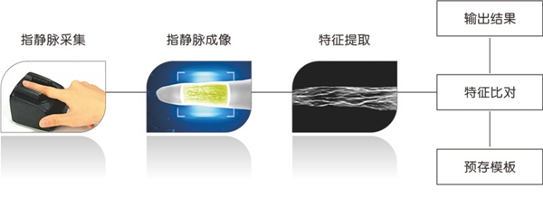 人工智能新科技：深度解析指静脉识别的源起、应用与发展