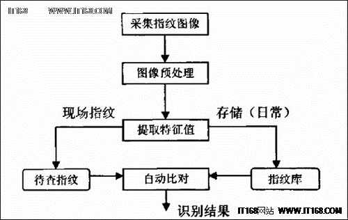 指纹识别技术原理