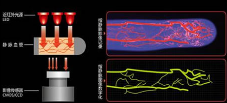 浅析6种生物识别原理及优缺点