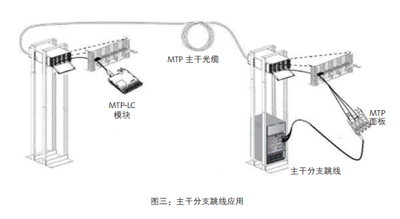 交换机如何选择正确的分支跳线