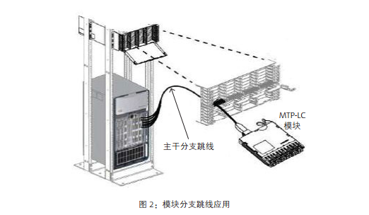 交换机如何选择正确的分支跳线