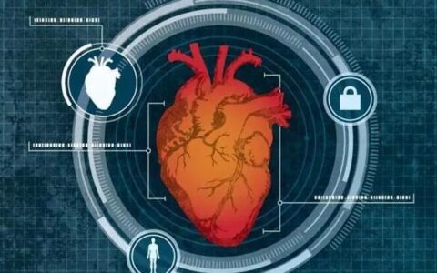 心跳实现身份验证？新技术可用于机场安检