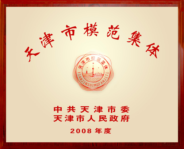 天地伟业公司荣获2008年度“天津市模范集体”荣誉称号