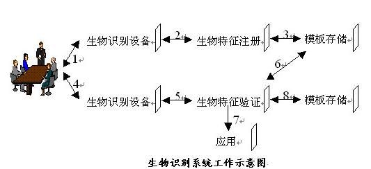 “庖丁”刀法解剖生物识别技术