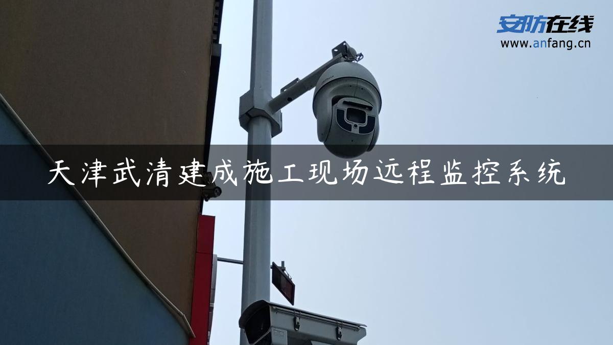 天津武清建成施工现场远程监控系统