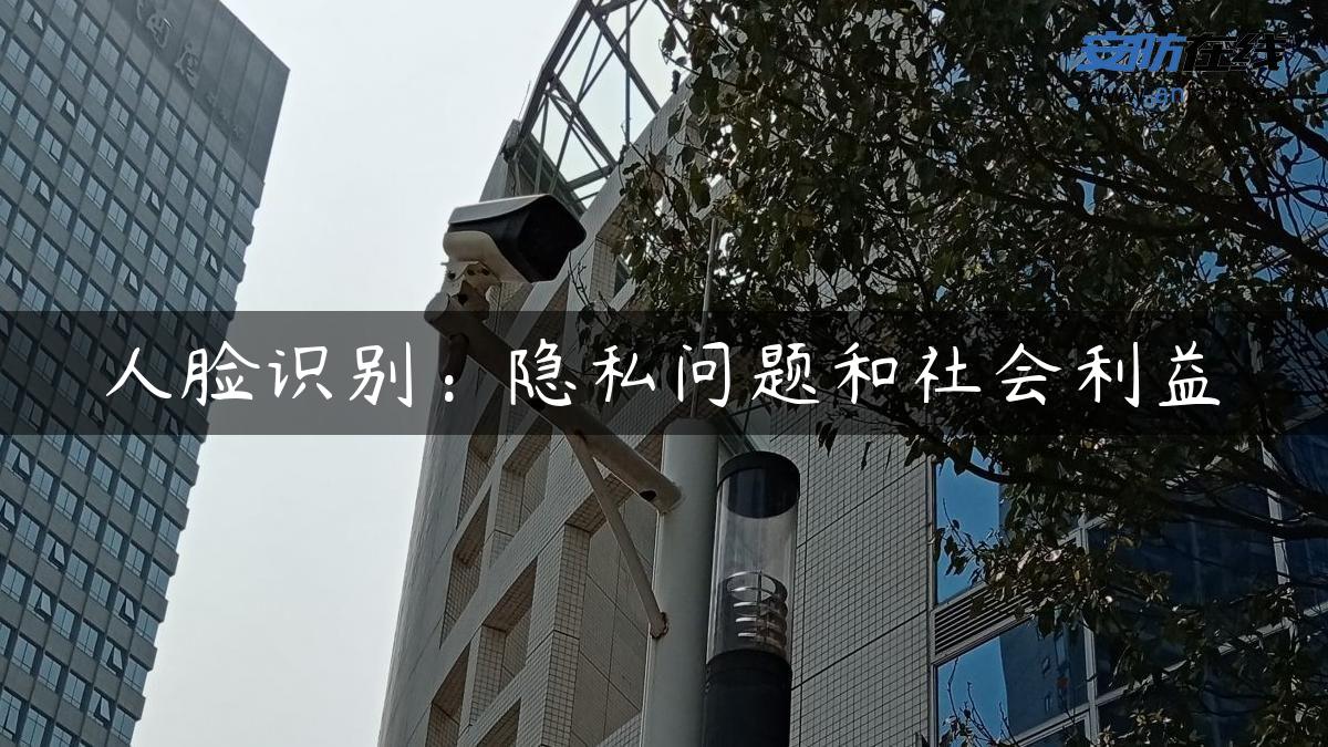 人脸识别：隐私问题和社会利益