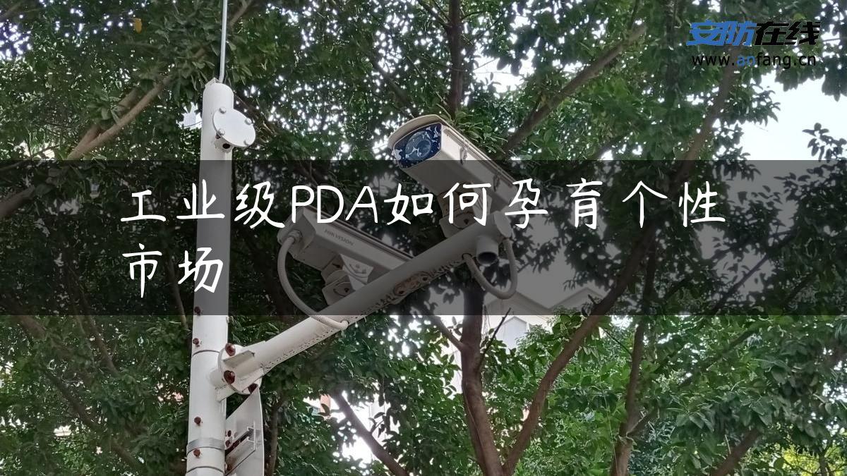 工业级PDA如何孕育个性市场