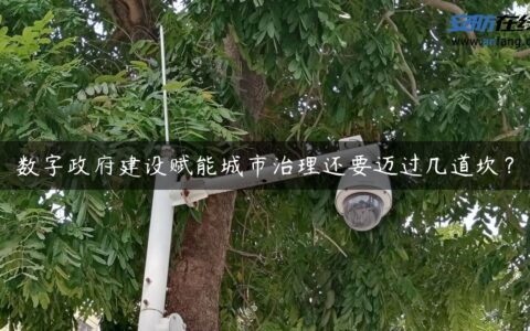 数字政府建设赋能城市治理还要迈过几道坎？